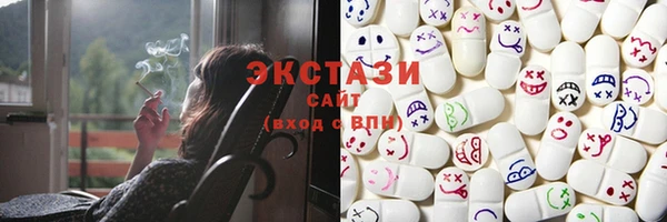 индика Бородино