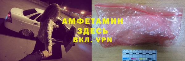 индика Бородино