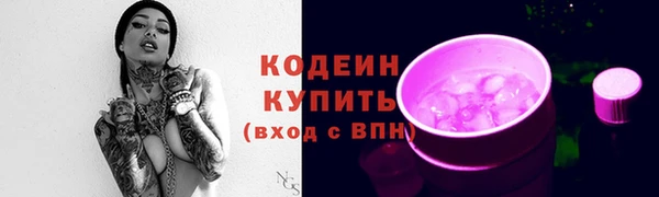 индика Бородино
