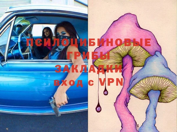 стафф Богородск