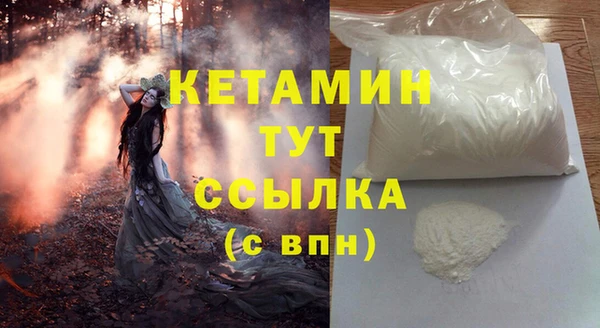 индика Бородино