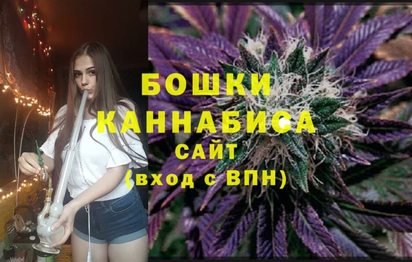 индика Бородино